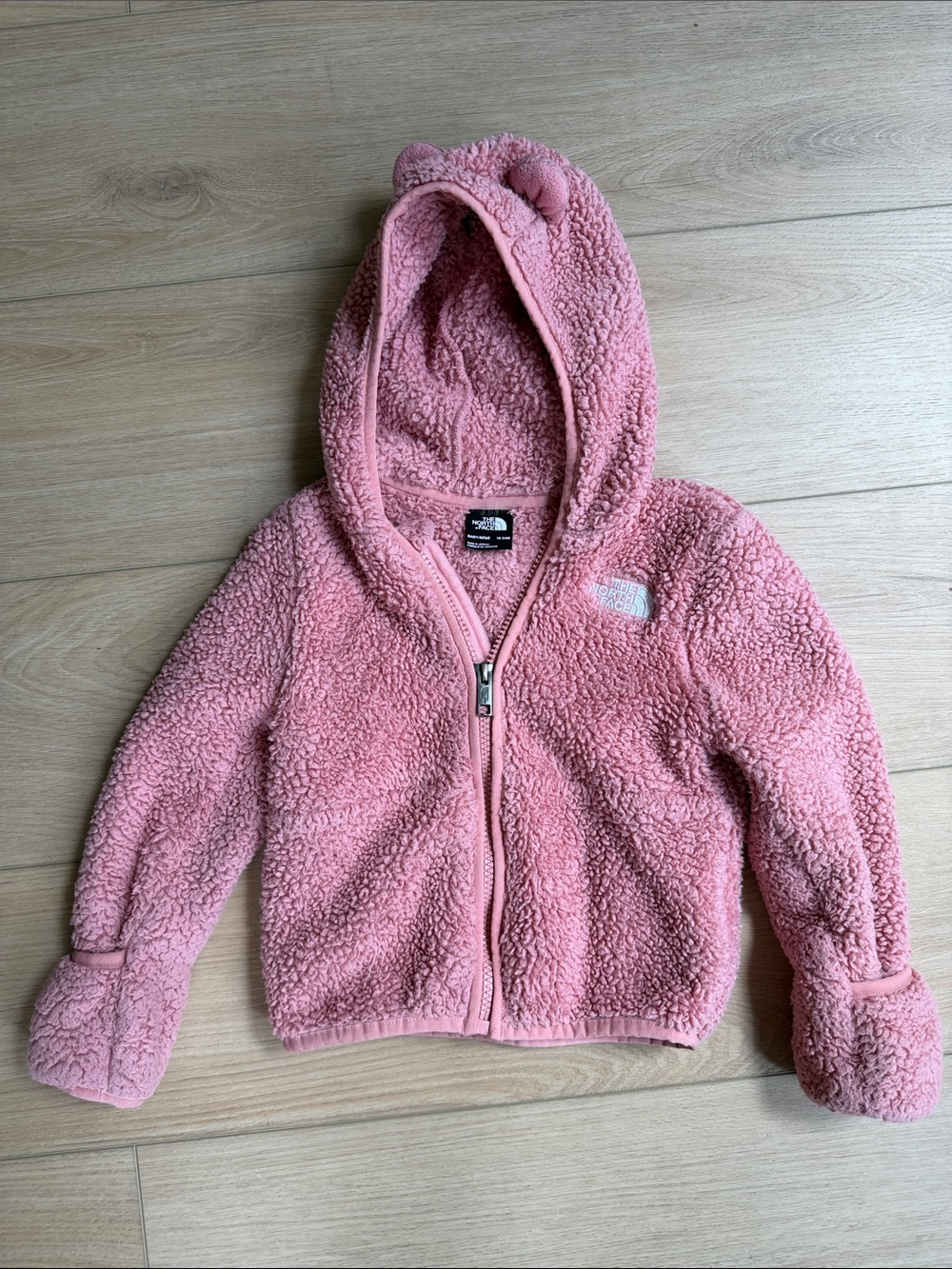 The North Face Kids Pink Teddy Fleece Zip Hoodie with Bear Ears